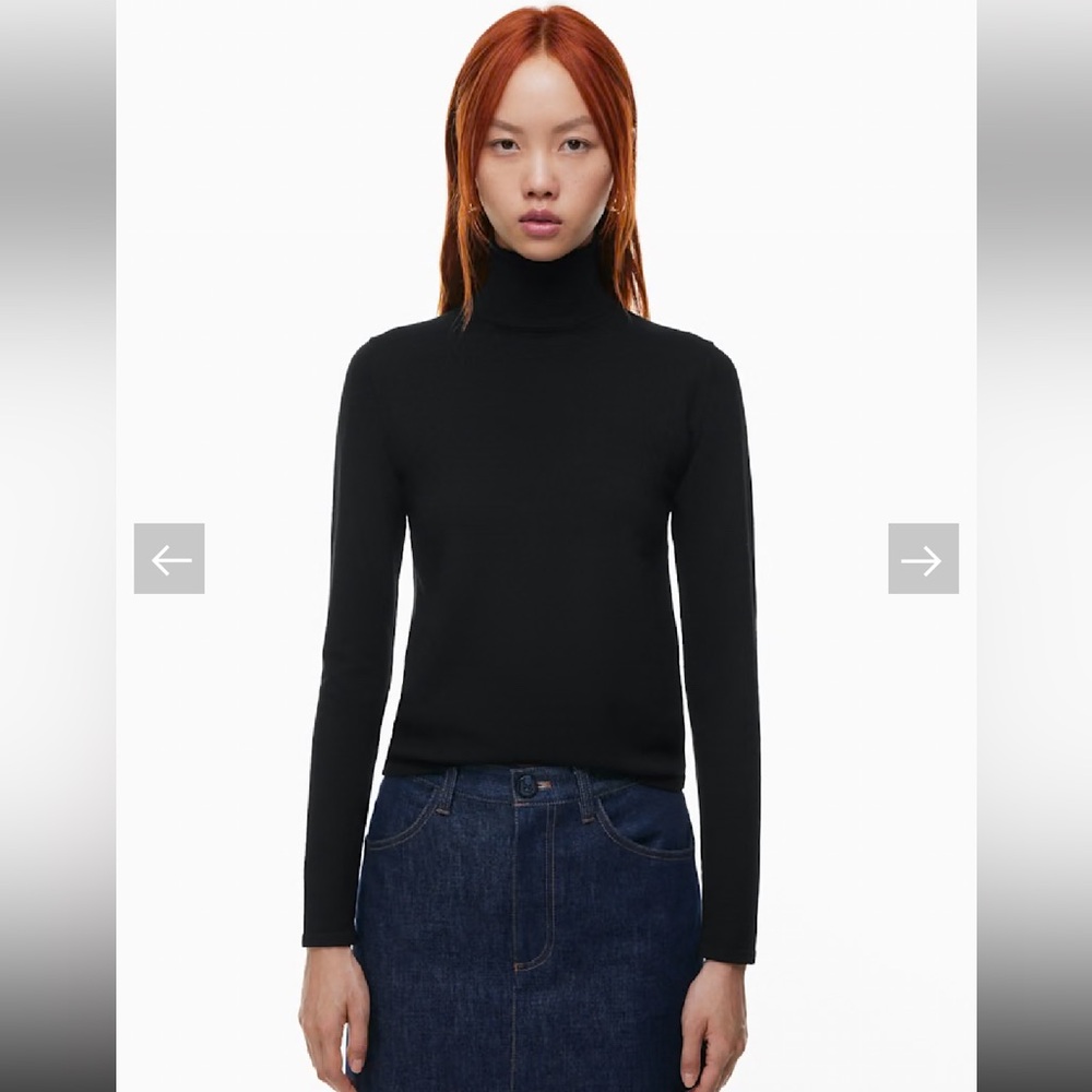Aritzia Babaton Black turtleneck
